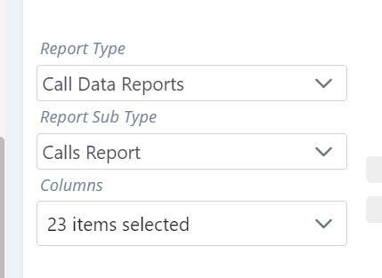 Picture of report dropdown options